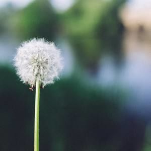 Meet your Posher, Lynne